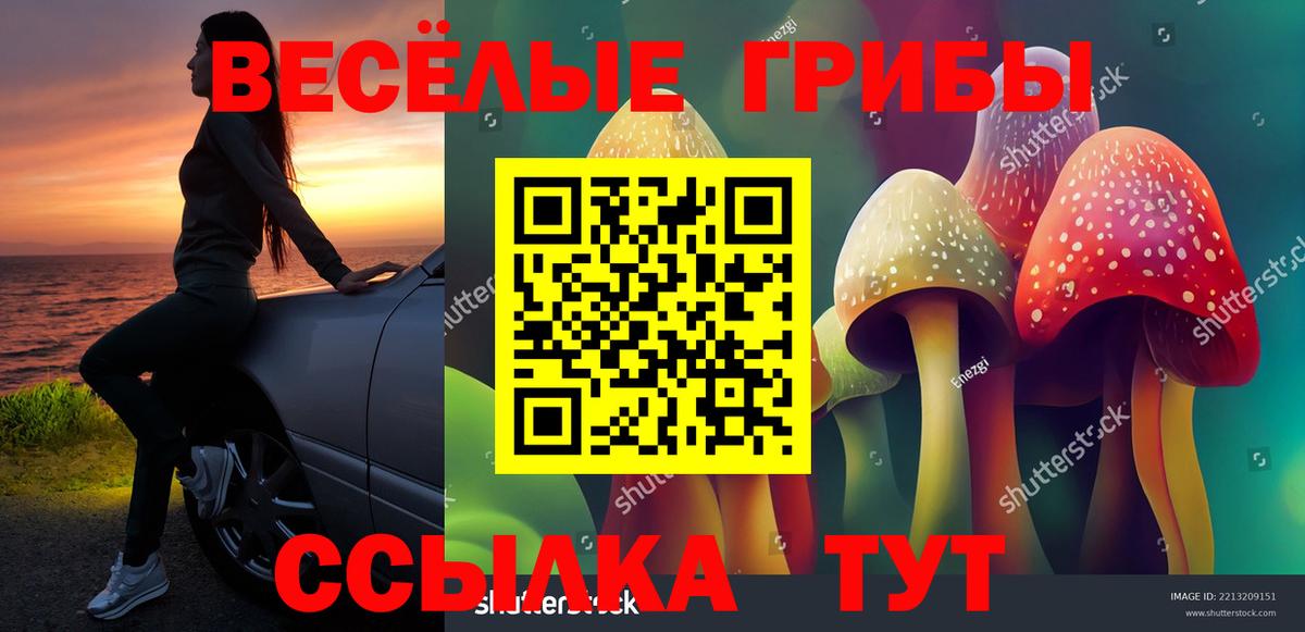 дарнет шоп  Вход с VPN  Новоуральск  Псилоцибиновые грибы прущие грибы 